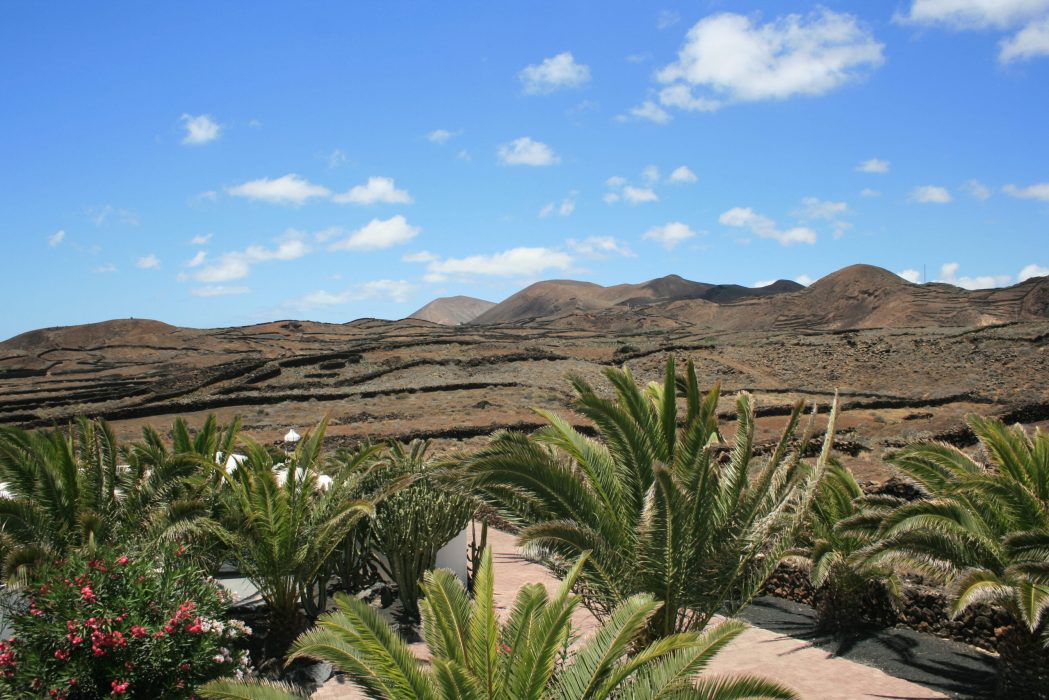 Casa Ronda view from the property