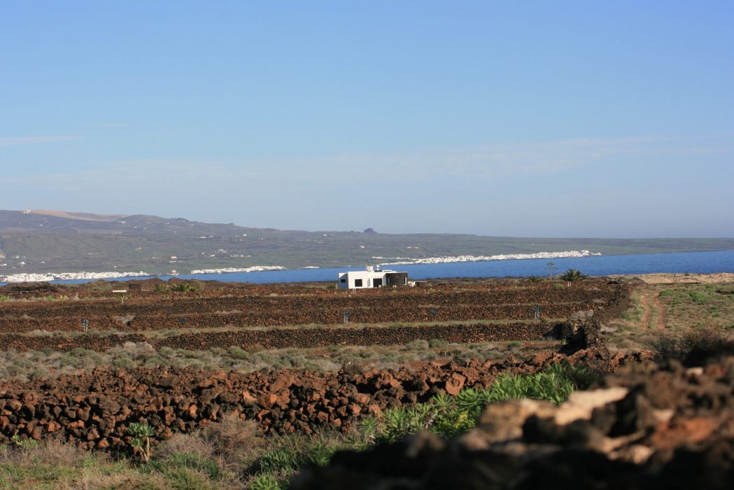 View towards Arrieta